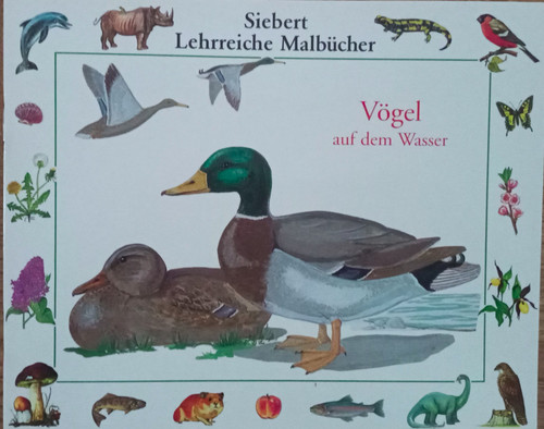 Vögel auf dem wasser malbuch - auf,